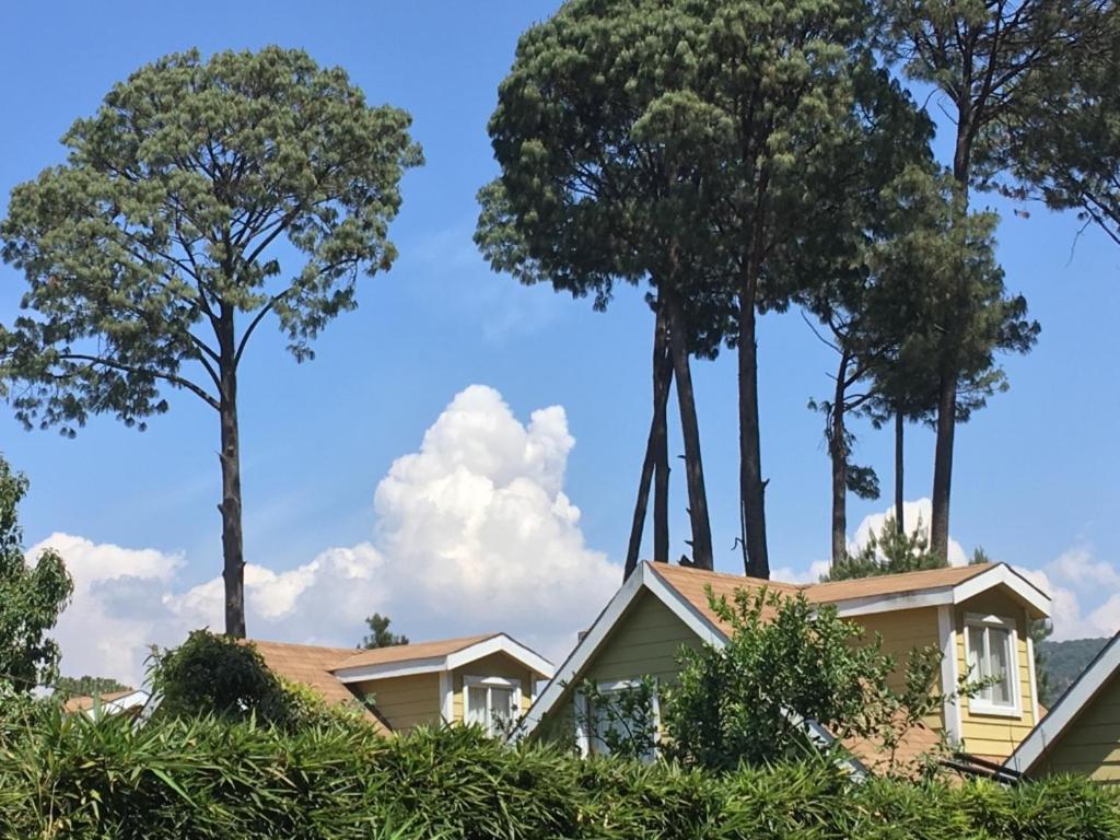 Cabañas Salamandras Avándaro Valle de Bravo Exterior foto